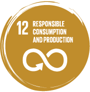 SDG 12
